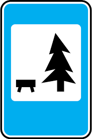 Для водителей в Украине ввели новый запрет: что нужно знать, чтобы не получить штраф